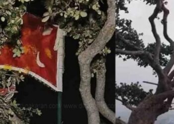 திருப்பரங்குன்றம் மலை மேல் கொடி அகற்றப்பட்ட விவகாரம்: தர்கா நிர்வாகம் சார்பில் காவல் உதவி ஆணையரிடம் புகார்