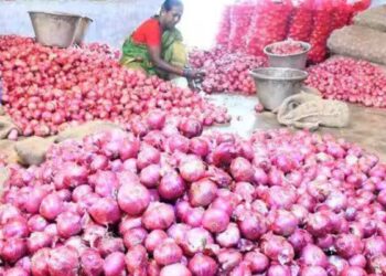 தெற்காசிய நாடுகளில் தேவை அதிகரிப்பு: திண்டுக்கல் சந்தைக்கு மகாராஷ்டிரா பல்லாரி வரத்து சரிவு!
