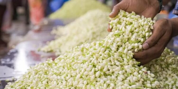 திருமங்கலம் மார்க்கெட்டில் மல்லிகை கிலோ ரூ.7,000-ஐத் தொட்டது இல்லத்தரசிகள் அதிர்ச்சி!