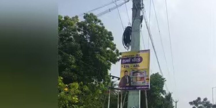 திண்டுக்கல்லில் மின்கம்பங்களில் அத்துமீறும் விளம்பரப் பலகைகள் நடவடிக்கை எடுக்க சமூக ஆர்வலர்கள் கோரிக்கை!