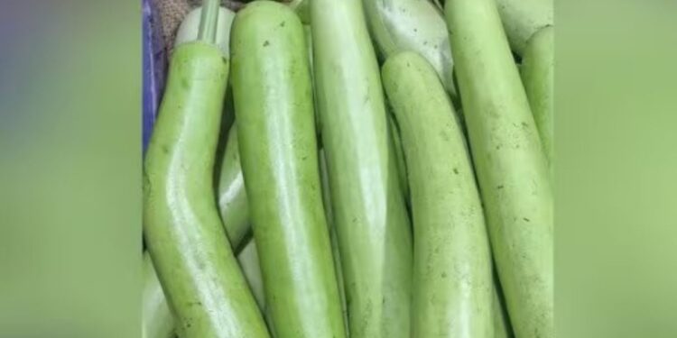 ஒட்டன்சத்திரம் மார்க்கெட்டில் சுரைக்காய் விலை கடும் வீழ்ச்சி விவசாயிகள் கவலை.