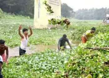 பழநி சண்முக நதி மற்றும் இடும்பன் குளத்தில் போர்க்கால அடிப்படையில் தூய்மைப்பணி தீவிரம்