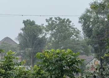 தரங்கம்பாடி & சுற்றுவட்டார பகுதிகளில் பரவலாக மழை பொதுமக்களின் இயல்பு வாழ்க்கை பாதிப்பு