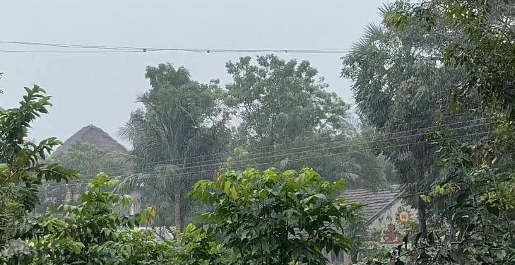 தரங்கம்பாடி & சுற்றுவட்டார பகுதிகளில் பரவலாக மழை பொதுமக்களின் இயல்பு வாழ்க்கை பாதிப்பு