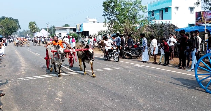 திருக்கடையூரில் மாபெரும் மாடு குதிரை எல்கை பந்தயம் பல்லாயிரக்கணக்கானோர் திரண்டு நின்று உற்சாகம்