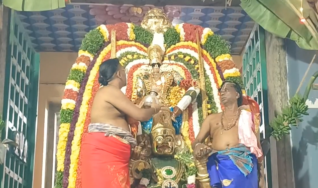 சீர்காழி அருகே திருநாங்கூரில் 132 வது ஆண்டு 11 தங்க கருட சேவை உத்ஸவம் ஆயிரக்கணக்கான பக்தர்கள் தரிசனம்