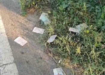 வெள்ளக்குடி பகுதியில் சாலை ஓரத்தில் வீசி எறியப்பட்ட வாக்காளர் அடையாள அட்டை