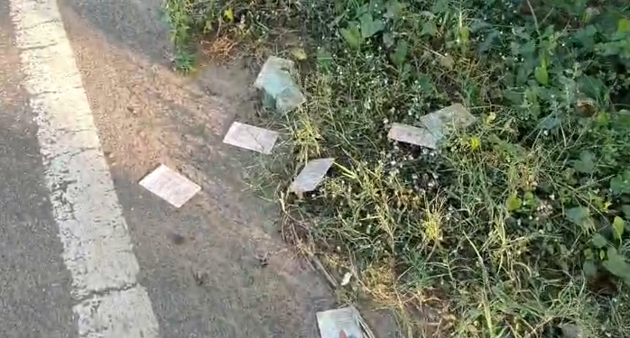 வெள்ளக்குடி பகுதியில் சாலை ஓரத்தில் வீசி எறியப்பட்ட வாக்காளர் அடையாள அட்டை