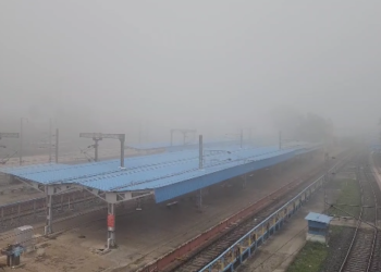 மயிலாடுதுறை மாவட்டத்தில் 2-வது நாளாக கடும் பனிப்பொழிவு, மாறிவரும் பருவநிலை காரணமாக பொதுமக்கள் அச்சம்