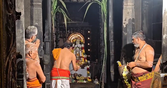 பொங்கல் பண்டிகையை முன்னிட்டு, மயிலாடுதுறை பெரிய கோவில் மாயூரநாதர் ஆலயத்தில்1000 லிட்டர் நெய் அபிஷேகம்