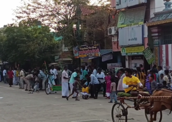 ரேக்ளா பந்தயத்தில் போட்டியாளர்களுக்கு மத்தியில் தனியாக ஓடிய குதிரை- திருவாரூரில் நடந்த சம்பவம்