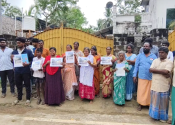 மயிலாடுதுறை நகராட்சி 30-வது வார்டில் சுற்றித்திரியும் 500-க்கு மேற்பட்ட பன்றிகளால் சுகாதார சீர்கேடு