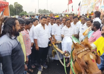 திருவள்ளூர் அருகே துணை முதல்வர் உதயநிதி ஸ்டாலின் பிறந்தவிழாவை முன்னிட்டு ரேக்ளா குதிரை பந்தயப் போட்டி