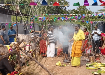 திருவாரூர் சாய்பாபா கோவிலில் உள்ள கோசாலையில் மாட்டுப்பொங்கல் விழா கோலாகலம் …….