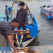 மீனவர்கள் கொண்டாடும் படகு பொங்கல் விழா – கடலில் உலா வந்து மகிழ்ச்சி