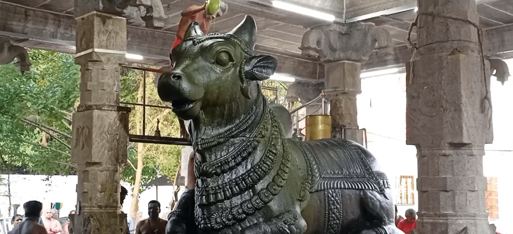 மார்கழி மாத பிரதோஷத்தை முன்னிட்டு நந்தி பகவானுக்கு சிறப்பு அபிஷேகம் – திரளான பக்தர்கள் வழிபாடு