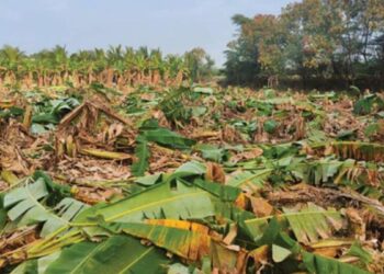 “நீதிமன்றத்தையே மதிக்காத நில அபகரிப்பு”: கர்ப்பிணி என்றும் பாராமல் தாக்குதல்