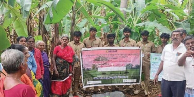 பாலில் புரதம் கூட்டும் ‘பசுமைத் தங்கம்’ அசோலா: வைகாசிபட்டி விவசாயிகளுக்கு டிப்ஸ்!