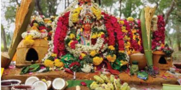 பக்தி வெள்ளத்தில் பாலமேடு: பட்டாளம்மன் அருளாசியில் பொங்கி வழிந்த தைப்பொங்கல் திருவிழா!