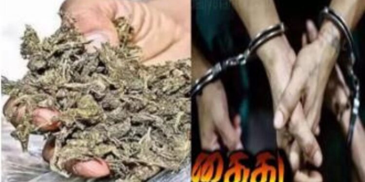 திண்டுக்கல்லில் போலீசாரின் ‘சர்ப்ரைஸ்’ செக்கிங்: வாட்டர் டேங்க் அருகே கஞ்சா விற்ற 2 வாலிபர்கள் கைது