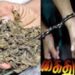 திண்டுக்கல்லில் போலீசாரின் ‘சர்ப்ரைஸ்’ செக்கிங்: வாட்டர் டேங்க் அருகே கஞ்சா விற்ற 2 வாலிபர்கள் கைது