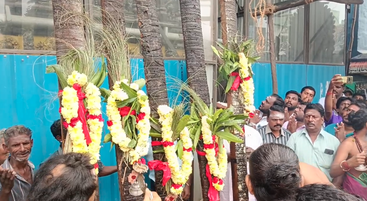 திருவாரூர் தியாகராஜசுவாமி ஆலயத்தில் ஆழித்தேரோட்டம் தைபூசபங்குனி உத்திர ஆழித்தேரோட்டம்