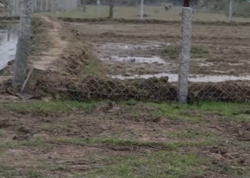 செங்கல்பட்டு எலுமிச்சம்பட்டு கிராமத்தில் கிராமநிர்வாக அலுவலர் உதவியுடன்  ஏரி கால்வாய்களை  தனிநபருக்கு  விற்க முயற்சி