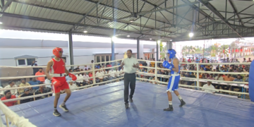 மீஞ்சூர் பேரூர் கழகDMKசார்பில் துணைமுதலமைச்சர் உதயநிதி ஸ்டாலின் பிறந்தநாளை முன்னிட்டு மாநிலஅளவிலான குத்துச்சண்டைபோட்டி 