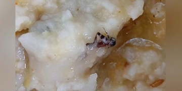 துப்புரவு பணியாளர்களின் காலை உணவில் கரப்பான்பூச்சி திட்டம் துவங்கிய 3-ம் நாளிலேயே அதிர்ச்சி – சுகாதாரம் குறித்து கேள்வி