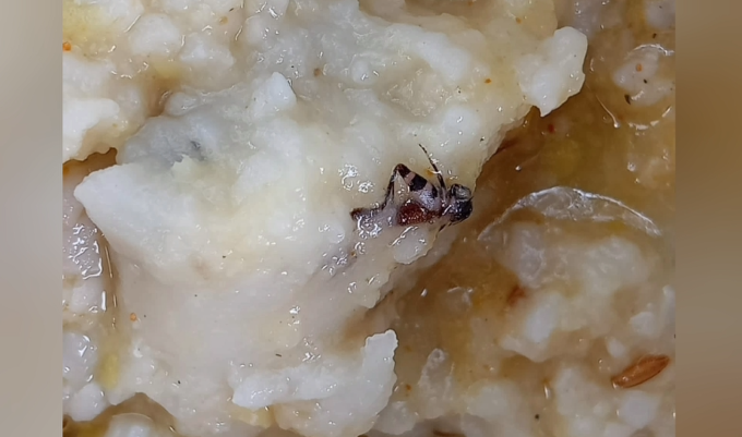 துப்புரவு பணியாளர்களின் காலை உணவில் கரப்பான்பூச்சி திட்டம் துவங்கிய 3-ம் நாளிலேயே அதிர்ச்சி – சுகாதாரம் குறித்து கேள்வி