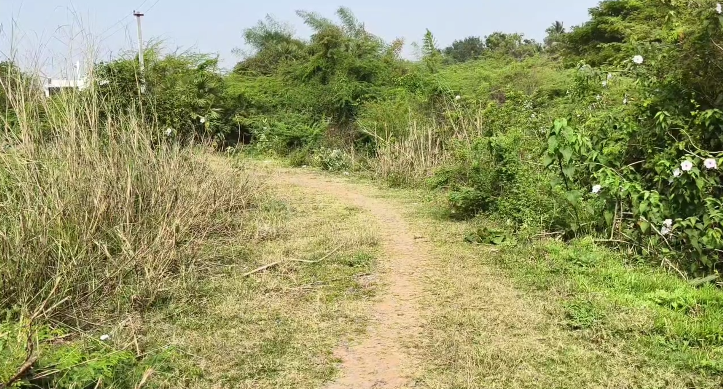 சீர்காழி அருகே பாதியில் நிறுத்தப்பட்ட தார் சாலையை முழுவதுமாக அமைத்துதரக் கோரி கிராம மக்கள் கோரிக்கை