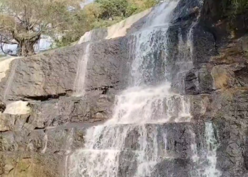 மேகமலை அருவியில் சுற்றுலா பயணிகள் குளிப்பதற்கு 6 நாட்களுக்குப் பிறகு வனத்துறை அனுமதி