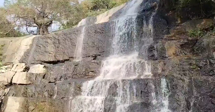 மேகமலை அருவியில் சுற்றுலா பயணிகள் குளிப்பதற்கு 6 நாட்களுக்குப் பிறகு வனத்துறை அனுமதி