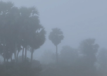 செங்கல்பட்டு கடும் பனிப்பொழிவு வாகன ஓட்டிகள் அவதி. வெயில் தாக்கம் அதிகரிக்கும்