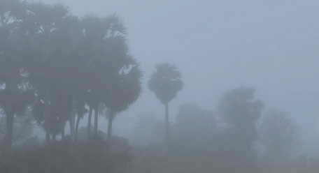 செங்கல்பட்டு கடும் பனிப்பொழிவு வாகன ஓட்டிகள் அவதி. வெயில் தாக்கம் அதிகரிக்கும்