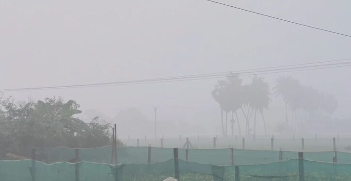 செங்கல்பட்டு & அதன் சுற்றியுள்ள பகுதிகளில், இரண்டு நாட்களாக அதிகாலை நேரங்களில் கடும் பனிப்பொழிவு