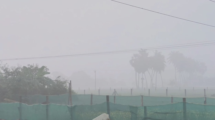 செங்கல்பட்டு & அதன் சுற்றியுள்ள பகுதிகளில், இரண்டு நாட்களாக அதிகாலை நேரங்களில் கடும் பனிப்பொழிவு