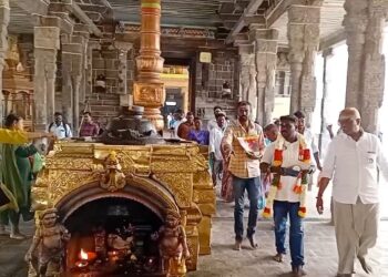 மரக்கன்றுகள் வழங்கி பிரச்சாரத்தை தொடங்கிய நாம்தமிழர் கட்சி வேட்பாளர்