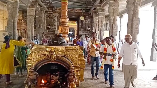 மரக்கன்றுகள் வழங்கி பிரச்சாரத்தை தொடங்கிய நாம்தமிழர் கட்சி வேட்பாளர்