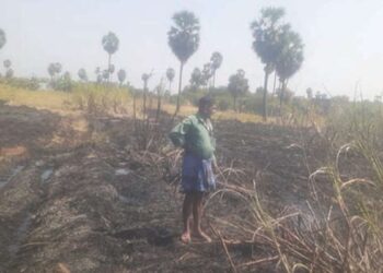 செண்பகத்தோப்பு மலையடிவாரத்தில் பயங்கரம்: அறுவடைக்குத் தயாராக இருந்த 2.5 ஏக்கர் கரும்புத் தோட்டம் தீக்கிரை!