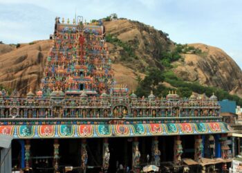 திருப்பரங்குன்றம் தீப விவகாரம்: ‘நீதிமன்றத்தை மீறும் நோக்கம் இல்லை’ – மதுரை உயர்நீதிமன்றத்தில் கலெக்டர் நிபந்தனையற்ற வருத்தம்!