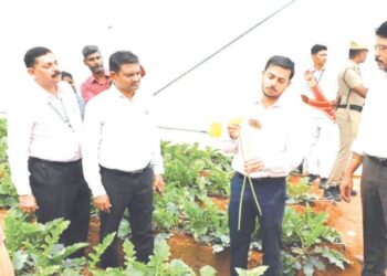 கட்டுப்படுத்தப்பட்ட சூழலில் மலர் சாகுபடி: சின்னத்தடாகத்தில் ஜெர்பரா பசுமைக்குடிலை ஆய்வு செய்த கலெக்டர் பவன்குமார் கிரியப்பனவர் – விவசாயிகளுக்கு 50% மானியம்!