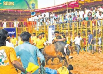 ஆலங்குடி அருகே மாரியம்மன் கோவில் மாசி திருவிழா ஜல்லிக்கட்டு: வாடிவாசலில் சீறிப்பாய்ந்த 720 காளைகள் – மல்லுக்கட்டிய 320 காளையர்கள்!