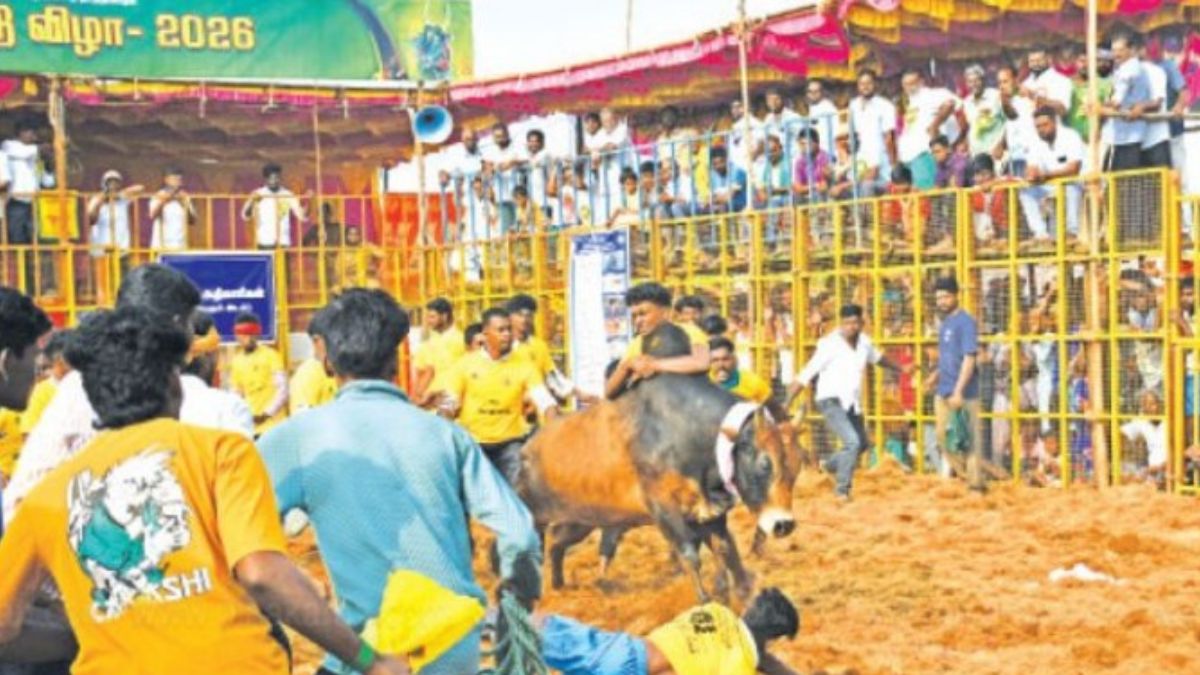 ஆலங்குடி அருகே மாரியம்மன் கோவில் மாசி திருவிழா ஜல்லிக்கட்டு: வாடிவாசலில் சீறிப்பாய்ந்த 720 காளைகள் – மல்லுக்கட்டிய 320 காளையர்கள்!