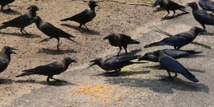 தேனியில் சரிந்தது ஓபிஎஸ் கோட்டை: 18 கிளைச் செயலாளர்கள் ஒட்டுமொத்தமாக அதிமுகவில் ஐக்கியம் – கடமலைக்குண்டுவில் காலி ஆனது கூடாரம்!