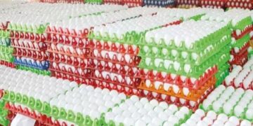 நாமக்கல்லில் 20 கோடி முட்டைகள் தேக்கம்; ஈரான் – இஸ்ரேல் போரால் முடங்கிய ஏற்றுமதி!” – நடுக்கடலில் தவிக்கும் 3.50 கோடி முட்டைகள்!