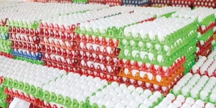 நாமக்கல்லில் 20 கோடி முட்டைகள் தேக்கம்; ஈரான் – இஸ்ரேல் போரால் முடங்கிய ஏற்றுமதி!” – நடுக்கடலில் தவிக்கும் 3.50 கோடி முட்டைகள்!