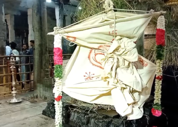 சீர்காழி அருகே வைத்தீஸ்வரன் கோவில் வைத்தியநாத சுவாமி ஆலயத்தில் பங்குனி உற்சவ பெருவிழா