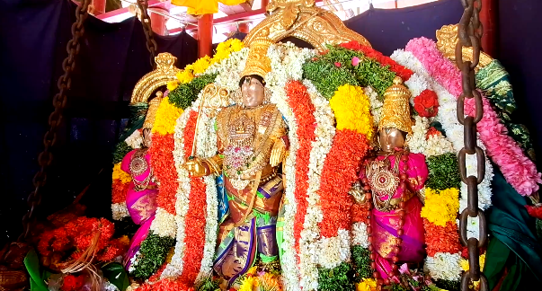 மன்னார்குடி ராஜகோபால சுவாமி கோவிலில் தேரோட்டம்