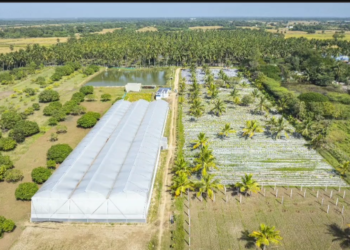 மேல்நாட்டு முறையில் இயற்கை விவசாயம் பெண் விவசாயி அரசு உதவிக்கரம் நீட்ட வேண்டுகோள்